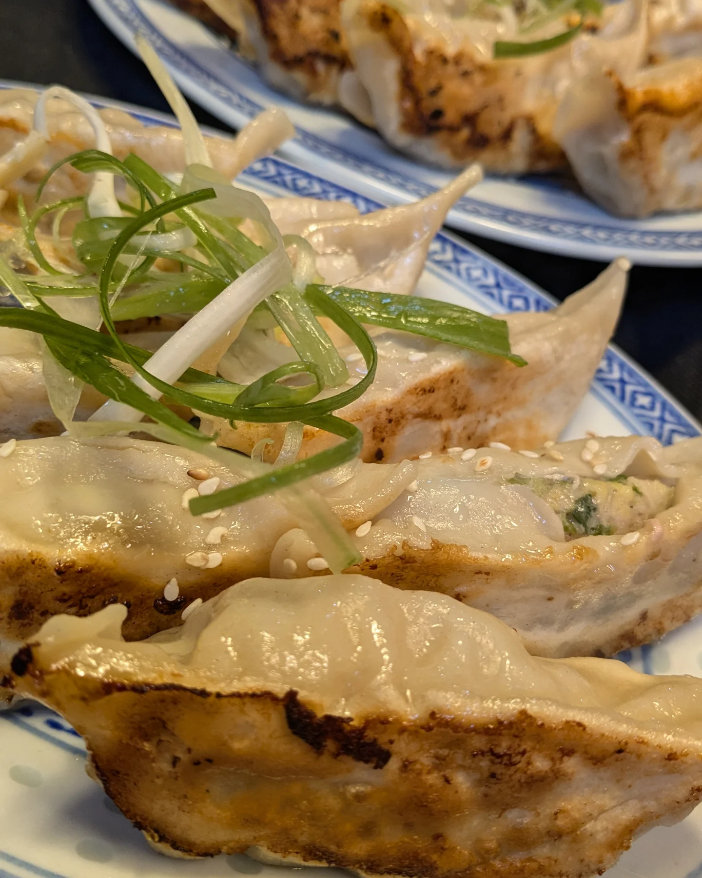 Pan-fried dumplings